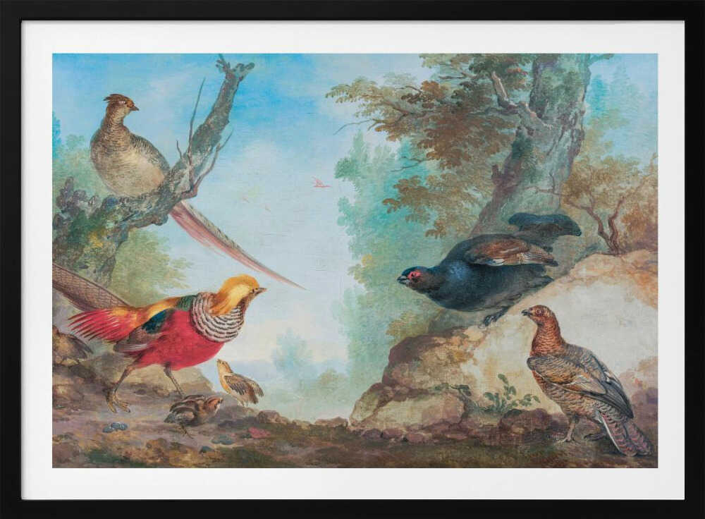 A vintage-style painting of various game birds in a natural, wooded landscape, enclosed in a silver frame. A vibrant golden pheasant and its chicks are on the left, while a black grouse perches on a rock and another stands on the ground to the right. A female pheasant sits on a tree branch above. Poster