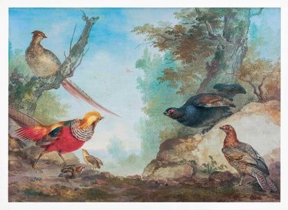 A vintage-style painting of various game birds in a natural, wooded landscape, enclosed in a silver frame. A vibrant golden pheasant and its chicks are on the left, while a black grouse perches on a rock and another stands on the ground to the right. A female pheasant sits on a tree branch above. Poster