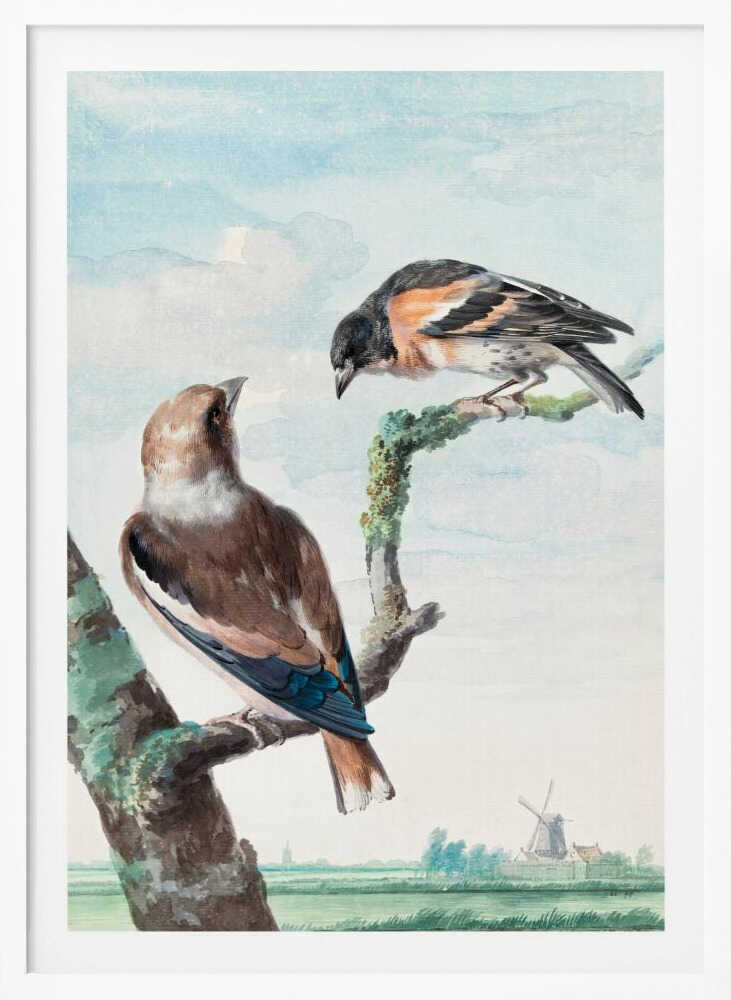 A vintage watercolor painting of two birds perched on branches against a soft blue sky. In the foreground, a Hawfinch with brown and blue feathers sits on a thick branch, while a Brambling with orange, black, and white plumage perches above. A classic Dutch landscape with a windmill is visible in the distant background. Wall Art