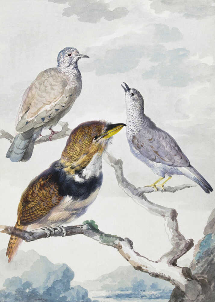A vintage watercolor illustration of three different birds resting on a tree branch. One is a light brown and grey dove, another is a small grey bird looking upwards with its beak open, and the third is a more colorful bird with brown, gold, and black plumage and a yellow beak. The background is a soft, cloudy sky above a distant blue mountain range. Wall Art