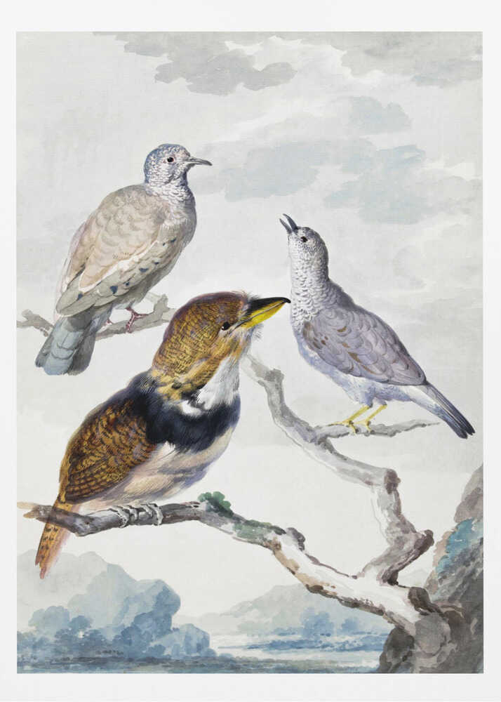A vintage watercolor illustration of three different birds resting on a tree branch. One is a light brown and grey dove, another is a small grey bird looking upwards with its beak open, and the third is a more colorful bird with brown, gold, and black plumage and a yellow beak. The background is a soft, cloudy sky above a distant blue mountain range. Wall Art