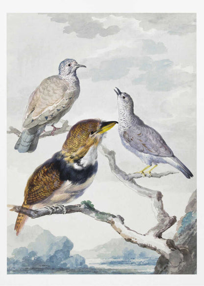 A vintage watercolor illustration of three different birds resting on a tree branch. One is a light brown and grey dove, another is a small grey bird looking upwards with its beak open, and the third is a more colorful bird with brown, gold, and black plumage and a yellow beak. The background is a soft, cloudy sky above a distant blue mountain range. Wall Art