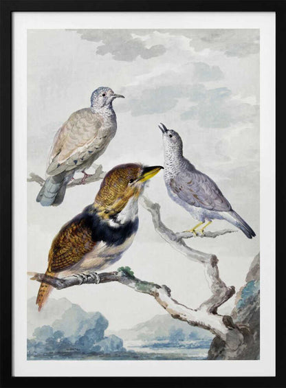 A vintage watercolor illustration of three different birds resting on a tree branch. One is a light brown and grey dove, another is a small grey bird looking upwards with its beak open, and the third is a more colorful bird with brown, gold, and black plumage and a yellow beak. The background is a soft, cloudy sky above a distant blue mountain range. Wall Art