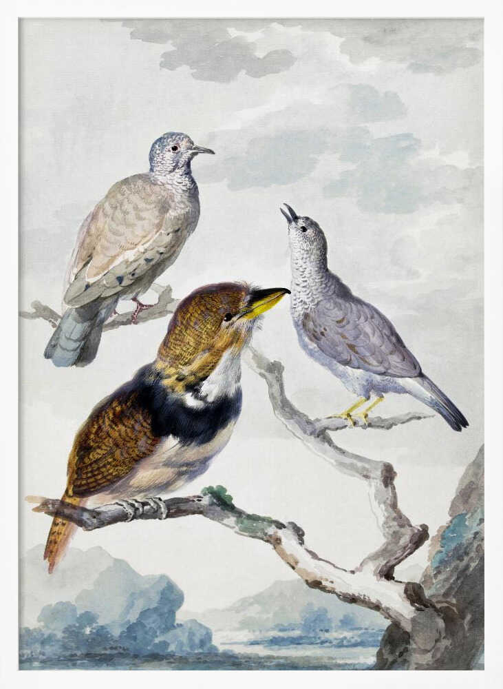 A vintage watercolor illustration of three different birds resting on a tree branch. One is a light brown and grey dove, another is a small grey bird looking upwards with its beak open, and the third is a more colorful bird with brown, gold, and black plumage and a yellow beak. The background is a soft, cloudy sky above a distant blue mountain range. Wall Art