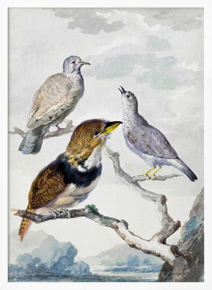 A vintage watercolor illustration of three different birds resting on a tree branch. One is a light brown and grey dove, another is a small grey bird looking upwards with its beak open, and the third is a more colorful bird with brown, gold, and black plumage and a yellow beak. The background is a soft, cloudy sky above a distant blue mountain range. Wall Art