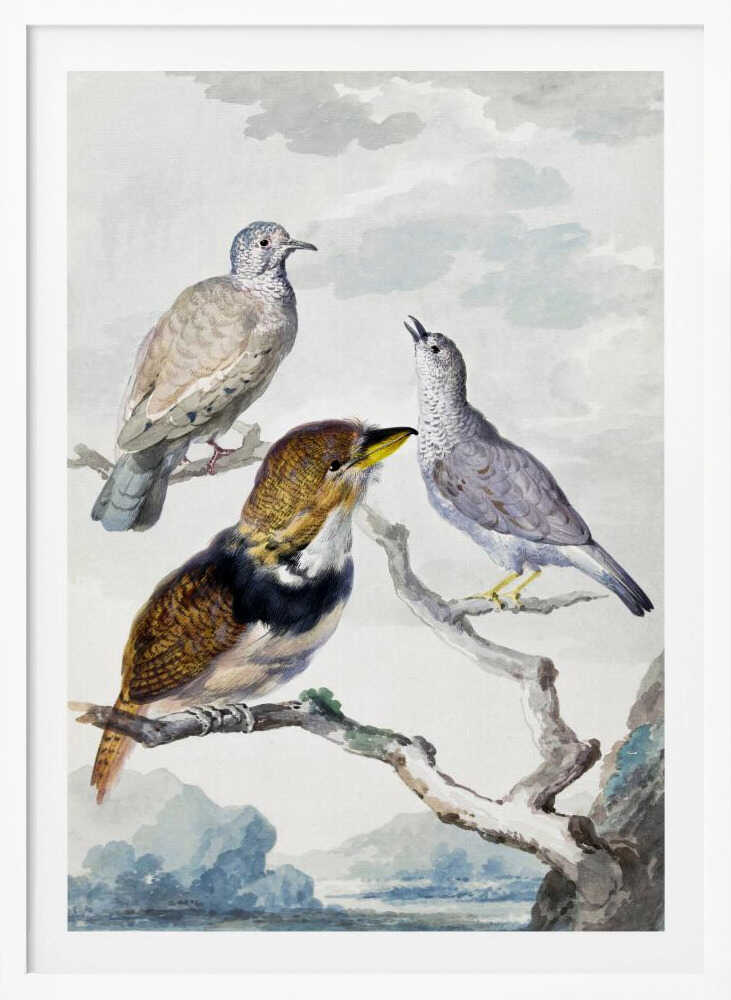 A vintage watercolor illustration of three different birds resting on a tree branch. One is a light brown and grey dove, another is a small grey bird looking upwards with its beak open, and the third is a more colorful bird with brown, gold, and black plumage and a yellow beak. The background is a soft, cloudy sky above a distant blue mountain range. Wall Art