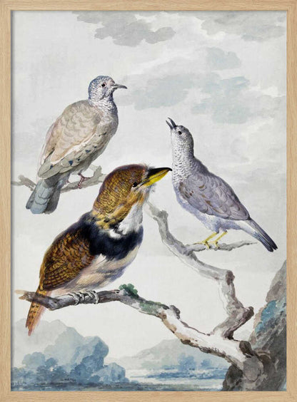 A vintage watercolor illustration of three different birds resting on a tree branch. One is a light brown and grey dove, another is a small grey bird looking upwards with its beak open, and the third is a more colorful bird with brown, gold, and black plumage and a yellow beak. The background is a soft, cloudy sky above a distant blue mountain range. Wall Art