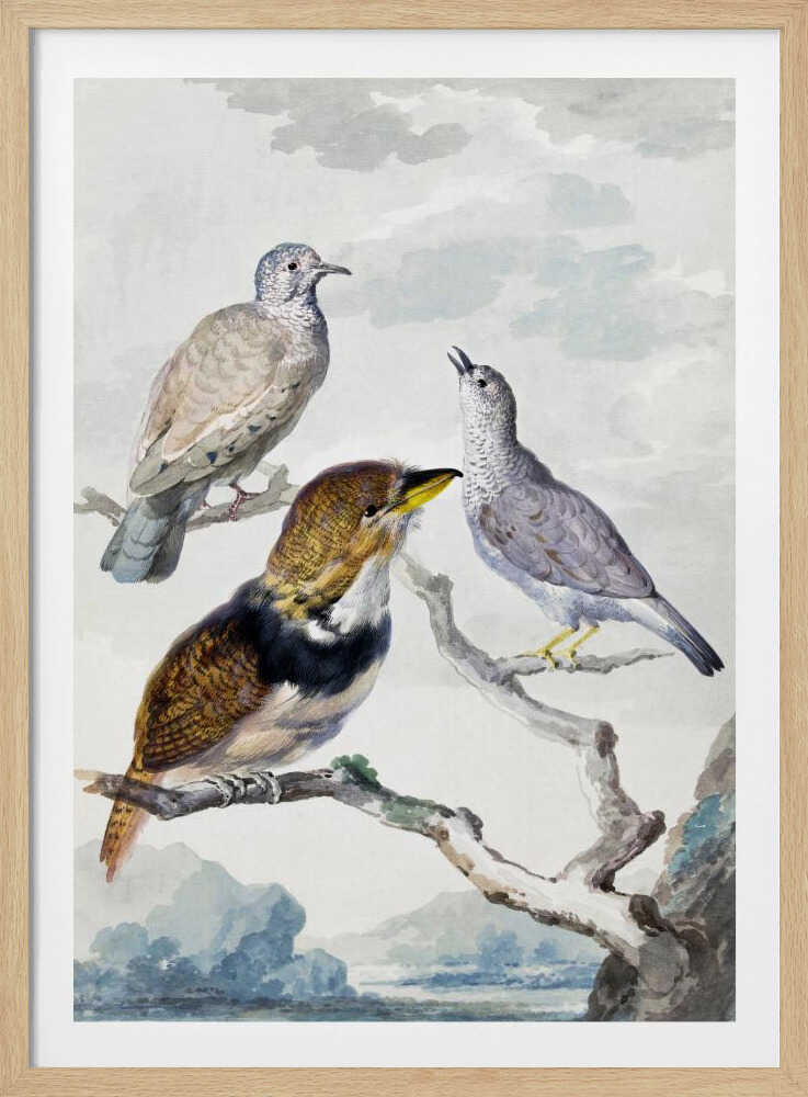 A vintage watercolor illustration of three different birds resting on a tree branch. One is a light brown and grey dove, another is a small grey bird looking upwards with its beak open, and the third is a more colorful bird with brown, gold, and black plumage and a yellow beak. The background is a soft, cloudy sky above a distant blue mountain range. Wall Art
