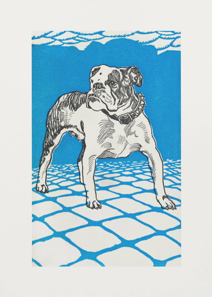 A framed graphic illustration of an English bulldog. The dog is white with black line-art details and stands on a white tiled floor outlined in blue. The background is a solid, bright blue, creating a bold and stylized look. Decor