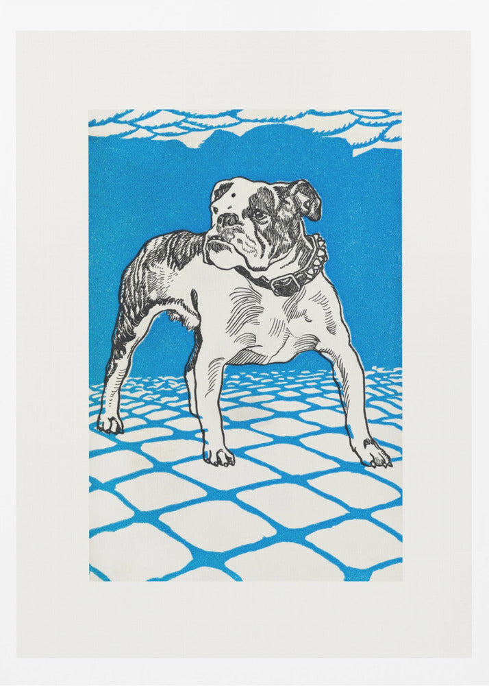 A framed graphic illustration of an English bulldog. The dog is white with black line-art details and stands on a white tiled floor outlined in blue. The background is a solid, bright blue, creating a bold and stylized look. Decor