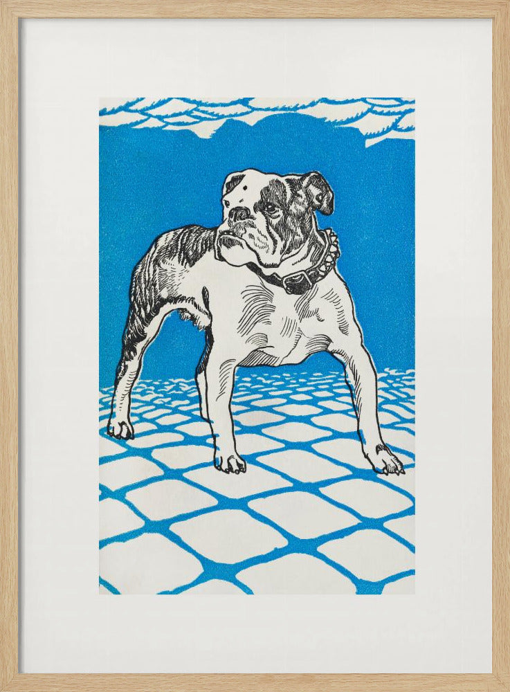 A framed graphic illustration of an English bulldog. The dog is white with black line-art details and stands on a white tiled floor outlined in blue. The background is a solid, bright blue, creating a bold and stylized look. Decor