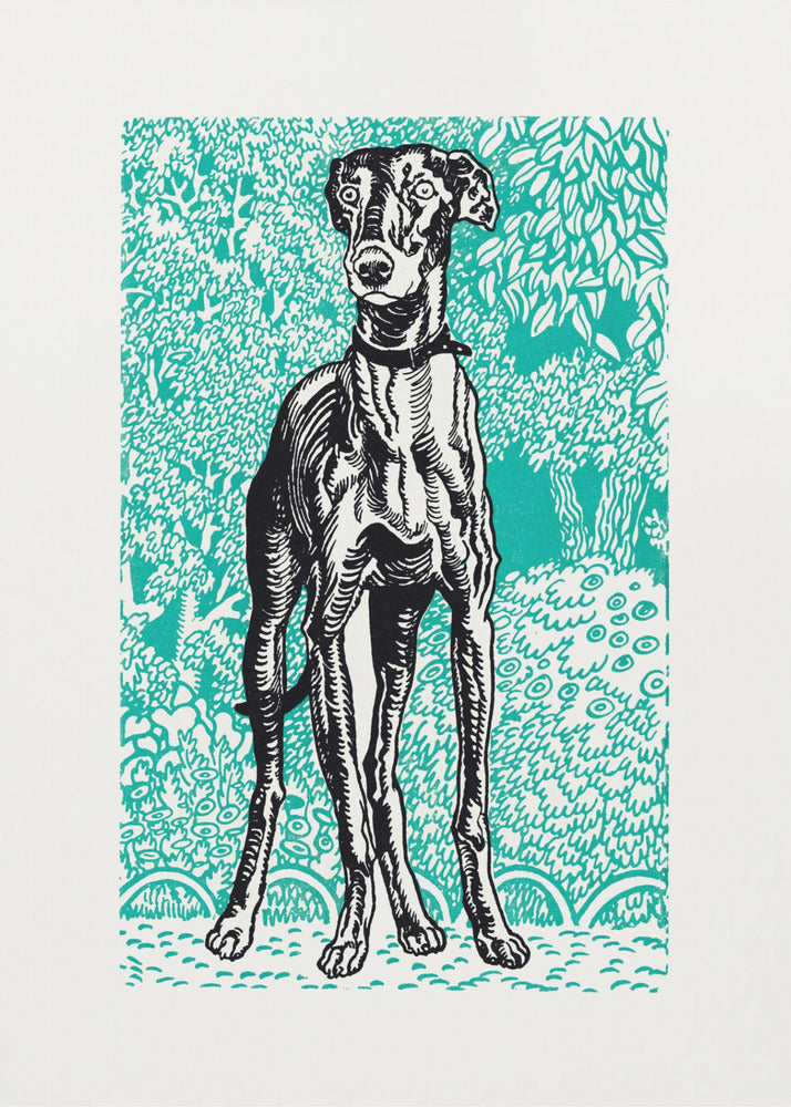 A framed linocut-style print of a black and white greyhound standing alert against a vibrant teal background patterned with stylized trees and foliage. Poster