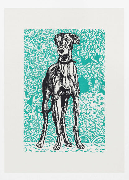 A framed linocut-style print of a black and white greyhound standing alert against a vibrant teal background patterned with stylized trees and foliage. Poster