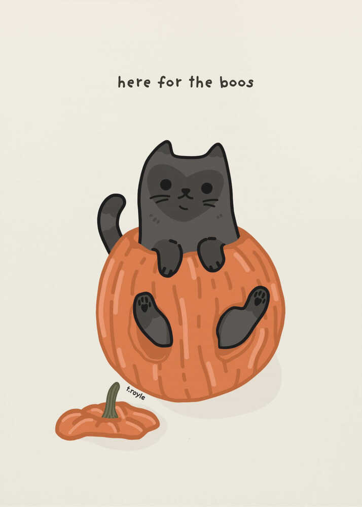 A cute cartoon illustration of a black cat sitting inside a hollowed-out orange pumpkin. Above the cat is the text 'here for the boos' in a simple font against a light beige background. The art is signed 'f.royle'. Artwork