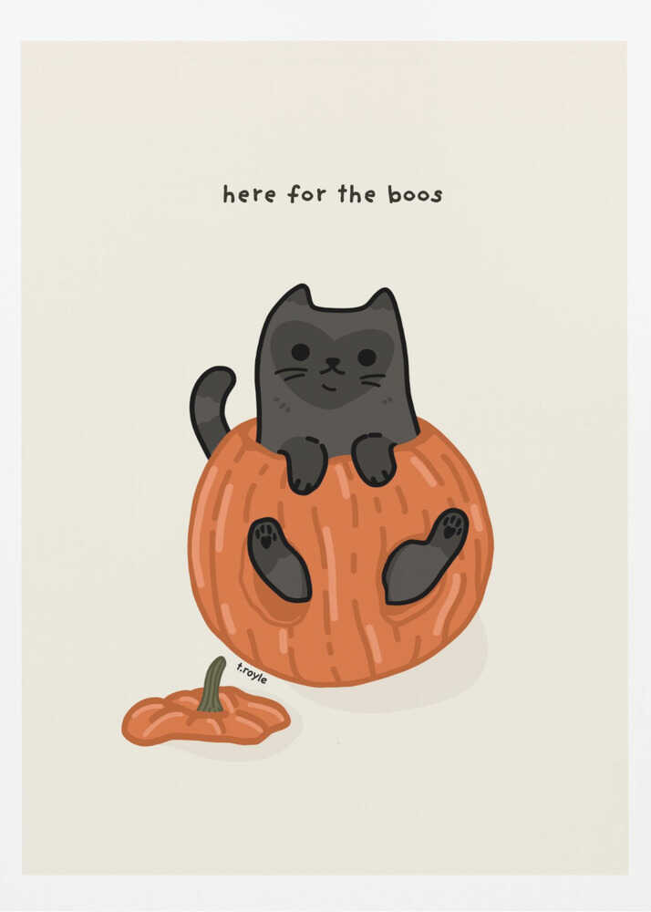 A cute cartoon illustration of a black cat sitting inside a hollowed-out orange pumpkin. Above the cat is the text 'here for the boos' in a simple font against a light beige background. The art is signed 'f.royle'. Artwork