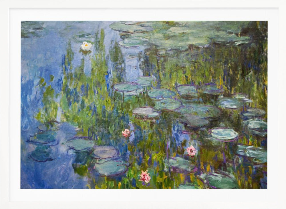 An Impressionist painting of a water lily pond, with vibrant blue water reflecting lush green foliage. Numerous green lily pads float on the surface, and several white and pink water lilies are in bloom. The artwork, which has visible brushstrokes, is presented in a simple silver frame. Print