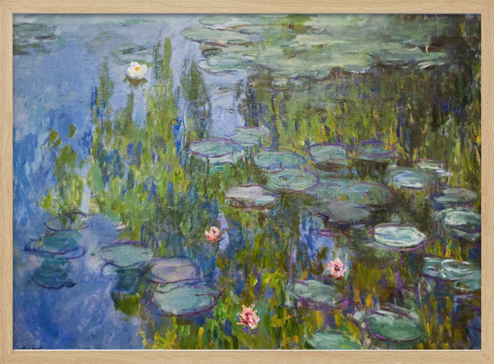 An Impressionist painting of a water lily pond, with vibrant blue water reflecting lush green foliage. Numerous green lily pads float on the surface, and several white and pink water lilies are in bloom. The artwork, which has visible brushstrokes, is presented in a simple silver frame. Print