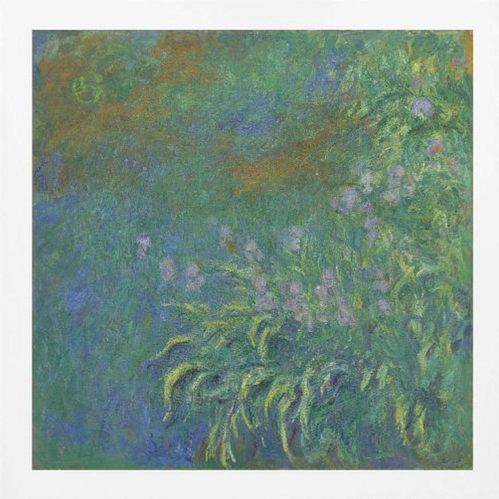 An impressionist painting by Claude Monet, 'The Artist's Garden at Giverny,' featuring a dense patch of purple irises amidst a sea of green and blue foliage, rendered with textured brushstrokes and set in a light wood frame. Print