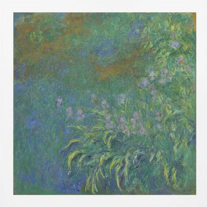 An impressionist painting by Claude Monet, 'The Artist's Garden at Giverny,' featuring a dense patch of purple irises amidst a sea of green and blue foliage, rendered with textured brushstrokes and set in a light wood frame. Print
