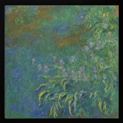 An impressionist painting by Claude Monet, 'The Artist's Garden at Giverny,' featuring a dense patch of purple irises amidst a sea of green and blue foliage, rendered with textured brushstrokes and set in a light wood frame. Print