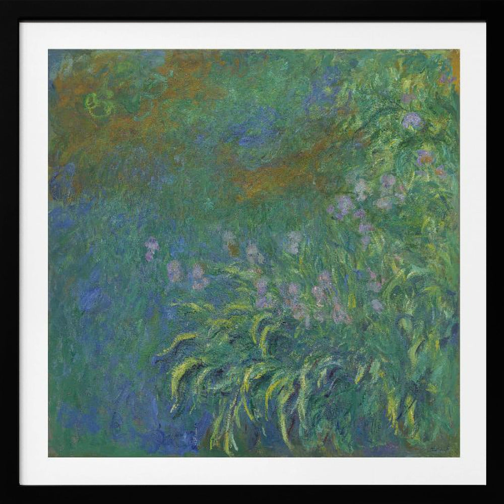 An impressionist painting by Claude Monet, 'The Artist's Garden at Giverny,' featuring a dense patch of purple irises amidst a sea of green and blue foliage, rendered with textured brushstrokes and set in a light wood frame. Print