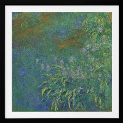 An impressionist painting by Claude Monet, 'The Artist's Garden at Giverny,' featuring a dense patch of purple irises amidst a sea of green and blue foliage, rendered with textured brushstrokes and set in a light wood frame. Print