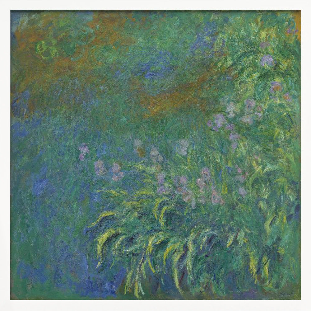An impressionist painting by Claude Monet, 'The Artist's Garden at Giverny,' featuring a dense patch of purple irises amidst a sea of green and blue foliage, rendered with textured brushstrokes and set in a light wood frame. Print