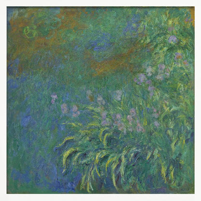 An impressionist painting by Claude Monet, 'The Artist's Garden at Giverny,' featuring a dense patch of purple irises amidst a sea of green and blue foliage, rendered with textured brushstrokes and set in a light wood frame. Print