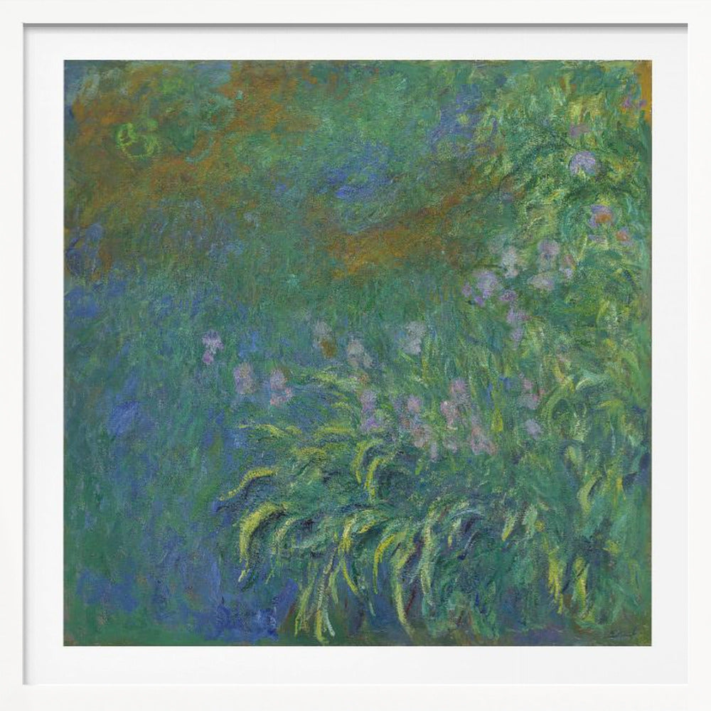 An impressionist painting by Claude Monet, 'The Artist's Garden at Giverny,' featuring a dense patch of purple irises amidst a sea of green and blue foliage, rendered with textured brushstrokes and set in a light wood frame. Print