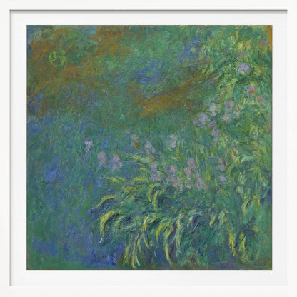 An impressionist painting by Claude Monet, 'The Artist's Garden at Giverny,' featuring a dense patch of purple irises amidst a sea of green and blue foliage, rendered with textured brushstrokes and set in a light wood frame. Print