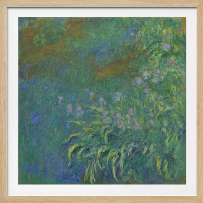 An impressionist painting by Claude Monet, 'The Artist's Garden at Giverny,' featuring a dense patch of purple irises amidst a sea of green and blue foliage, rendered with textured brushstrokes and set in a light wood frame. Print