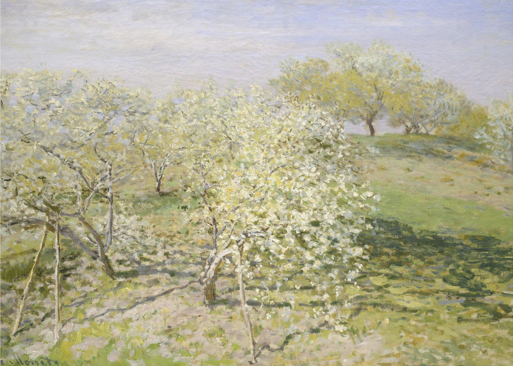 An impressionist painting of an orchard in full bloom, with white and yellow blossoms covering the trees. The orchard is set on a rolling green hillside under a pale, hazy sky, with soft shadows cast on the grass. The artwork is presented in a silver frame. Wall Art