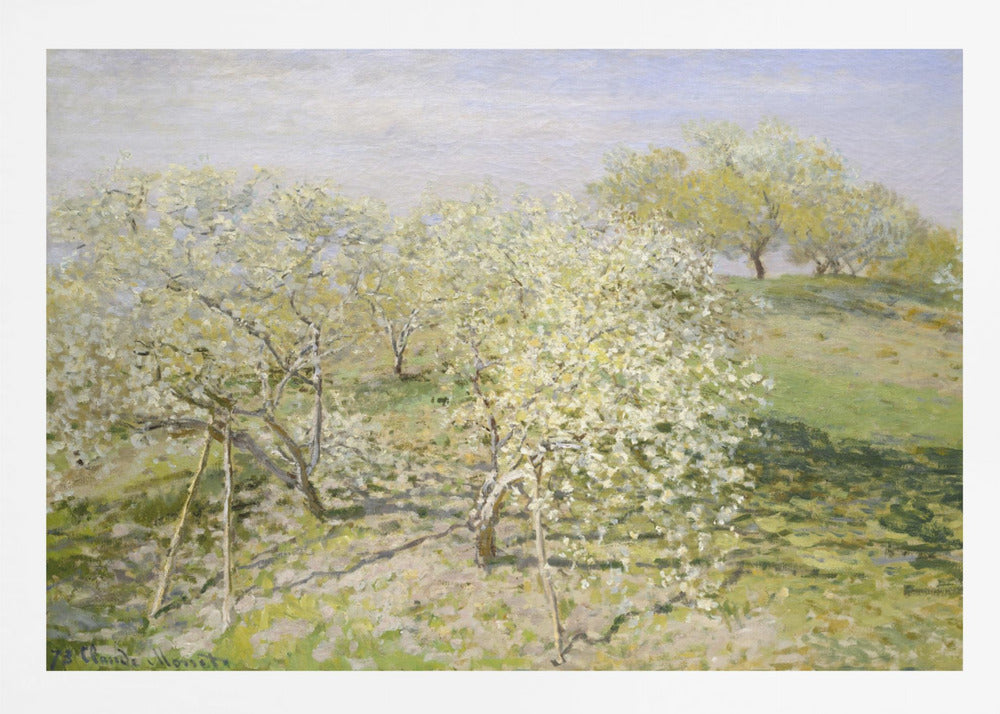 An impressionist painting of an orchard in full bloom, with white and yellow blossoms covering the trees. The orchard is set on a rolling green hillside under a pale, hazy sky, with soft shadows cast on the grass. The artwork is presented in a silver frame. Wall Art