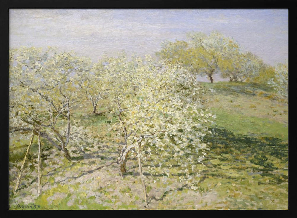 An impressionist painting of an orchard in full bloom, with white and yellow blossoms covering the trees. The orchard is set on a rolling green hillside under a pale, hazy sky, with soft shadows cast on the grass. The artwork is presented in a silver frame. Wall Art