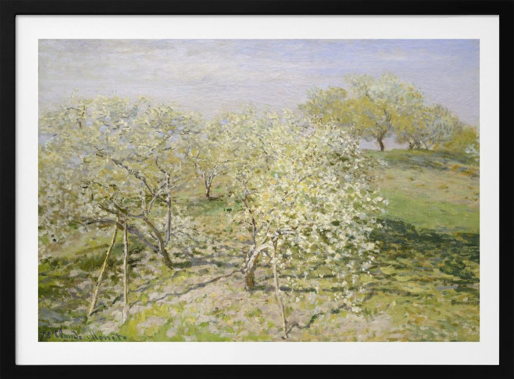 An impressionist painting of an orchard in full bloom, with white and yellow blossoms covering the trees. The orchard is set on a rolling green hillside under a pale, hazy sky, with soft shadows cast on the grass. The artwork is presented in a silver frame. Wall Art