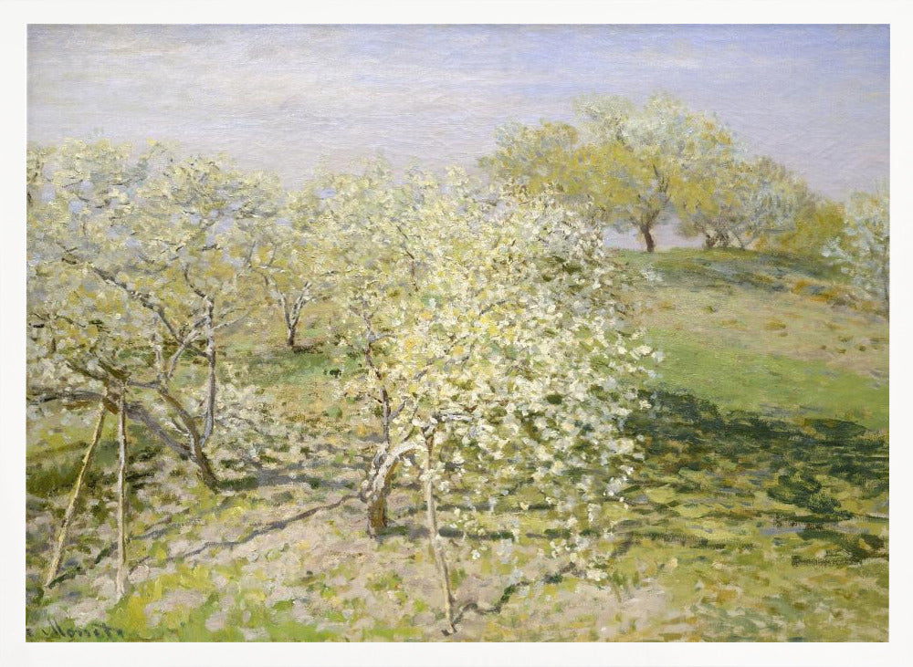 An impressionist painting of an orchard in full bloom, with white and yellow blossoms covering the trees. The orchard is set on a rolling green hillside under a pale, hazy sky, with soft shadows cast on the grass. The artwork is presented in a silver frame. Wall Art