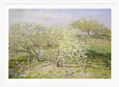 An impressionist painting of an orchard in full bloom, with white and yellow blossoms covering the trees. The orchard is set on a rolling green hillside under a pale, hazy sky, with soft shadows cast on the grass. The artwork is presented in a silver frame. Wall Art