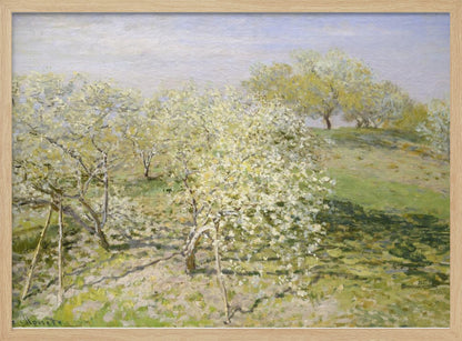 An impressionist painting of an orchard in full bloom, with white and yellow blossoms covering the trees. The orchard is set on a rolling green hillside under a pale, hazy sky, with soft shadows cast on the grass. The artwork is presented in a silver frame. Wall Art