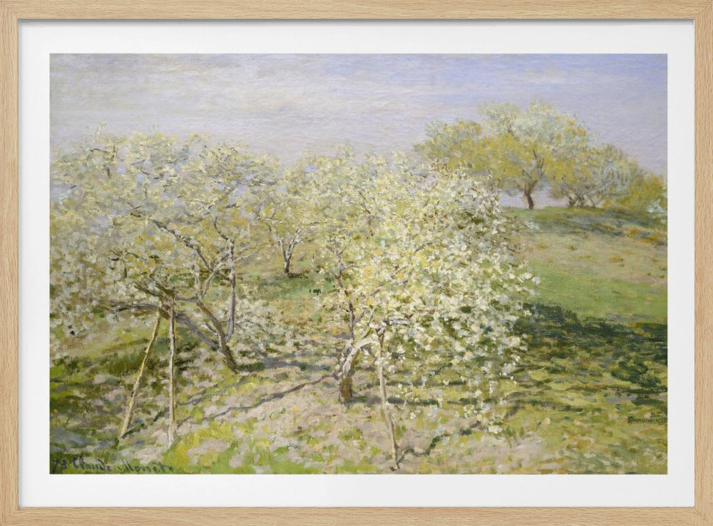 An impressionist painting of an orchard in full bloom, with white and yellow blossoms covering the trees. The orchard is set on a rolling green hillside under a pale, hazy sky, with soft shadows cast on the grass. The artwork is presented in a silver frame. Wall Art