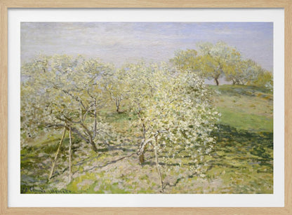 An impressionist painting of an orchard in full bloom, with white and yellow blossoms covering the trees. The orchard is set on a rolling green hillside under a pale, hazy sky, with soft shadows cast on the grass. The artwork is presented in a silver frame. Wall Art