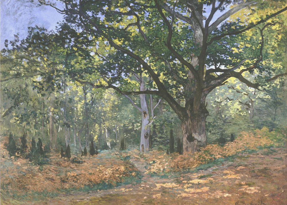An impressionist painting by Claude Monet titled 'The Bodmer Oak, Fontainebleau Forest'. The artwork depicts a massive, ancient oak tree dominating a sun-dappled forest scene. The ground is covered in golden-brown ferns, and sunlight filters through the lush green canopy, creating a play of light and shadow. Decor