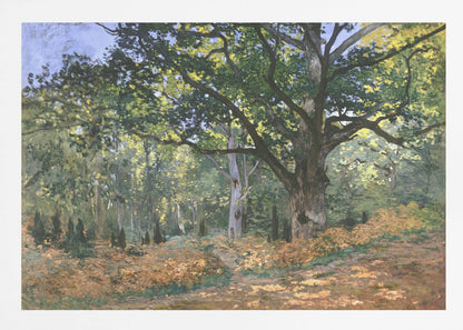 An impressionist painting by Claude Monet titled 'The Bodmer Oak, Fontainebleau Forest'. The artwork depicts a massive, ancient oak tree dominating a sun-dappled forest scene. The ground is covered in golden-brown ferns, and sunlight filters through the lush green canopy, creating a play of light and shadow. Decor