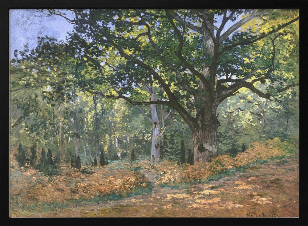 An impressionist painting by Claude Monet titled 'The Bodmer Oak, Fontainebleau Forest'. The artwork depicts a massive, ancient oak tree dominating a sun-dappled forest scene. The ground is covered in golden-brown ferns, and sunlight filters through the lush green canopy, creating a play of light and shadow. Decor
