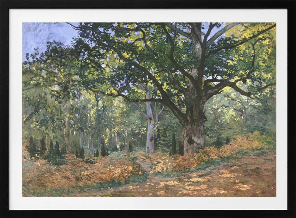 An impressionist painting by Claude Monet titled 'The Bodmer Oak, Fontainebleau Forest'. The artwork depicts a massive, ancient oak tree dominating a sun-dappled forest scene. The ground is covered in golden-brown ferns, and sunlight filters through the lush green canopy, creating a play of light and shadow. Decor
