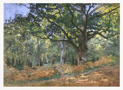 An impressionist painting by Claude Monet titled 'The Bodmer Oak, Fontainebleau Forest'. The artwork depicts a massive, ancient oak tree dominating a sun-dappled forest scene. The ground is covered in golden-brown ferns, and sunlight filters through the lush green canopy, creating a play of light and shadow. Decor