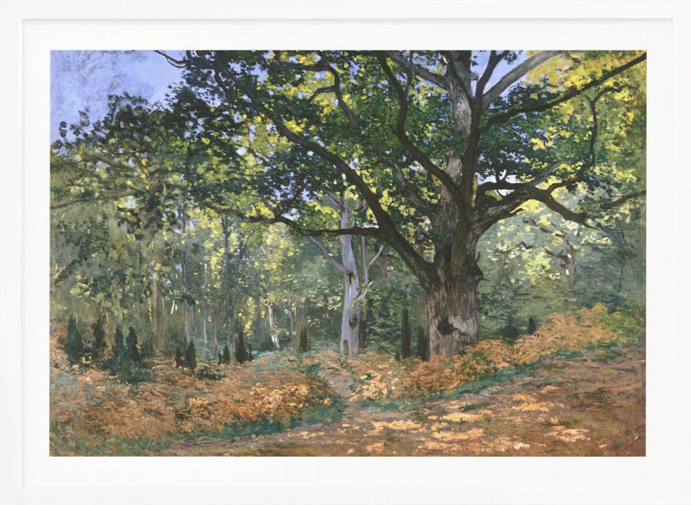 An impressionist painting by Claude Monet titled 'The Bodmer Oak, Fontainebleau Forest'. The artwork depicts a massive, ancient oak tree dominating a sun-dappled forest scene. The ground is covered in golden-brown ferns, and sunlight filters through the lush green canopy, creating a play of light and shadow. Decor