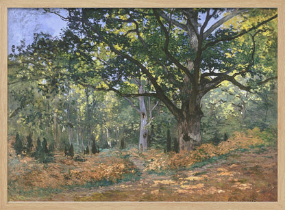 An impressionist painting by Claude Monet titled 'The Bodmer Oak, Fontainebleau Forest'. The artwork depicts a massive, ancient oak tree dominating a sun-dappled forest scene. The ground is covered in golden-brown ferns, and sunlight filters through the lush green canopy, creating a play of light and shadow. Decor