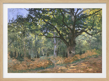 An impressionist painting by Claude Monet titled 'The Bodmer Oak, Fontainebleau Forest'. The artwork depicts a massive, ancient oak tree dominating a sun-dappled forest scene. The ground is covered in golden-brown ferns, and sunlight filters through the lush green canopy, creating a play of light and shadow. Decor