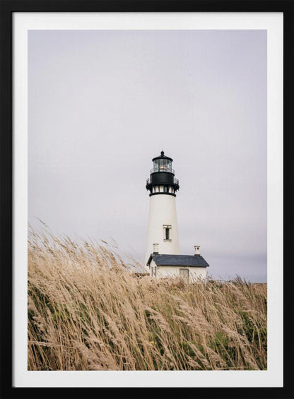 A framed photograph of a white lighthouse with a black top, set against a muted, overcast sky. The foreground is filled with tall, wild beige grass blowing in the wind, partially obscuring the base of the lighthouse. Decor