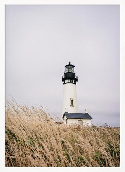 A framed photograph of a white lighthouse with a black top, set against a muted, overcast sky. The foreground is filled with tall, wild beige grass blowing in the wind, partially obscuring the base of the lighthouse. Decor